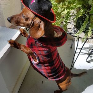 Meet your Posher, Vivian